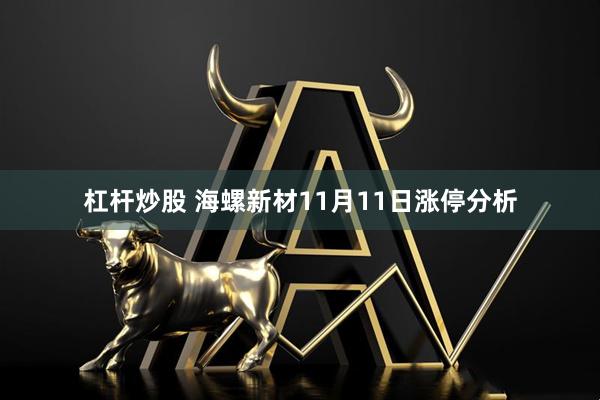 杠杆炒股 海螺新材11月11日涨停分析